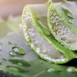 Hydrating & Moisturizing